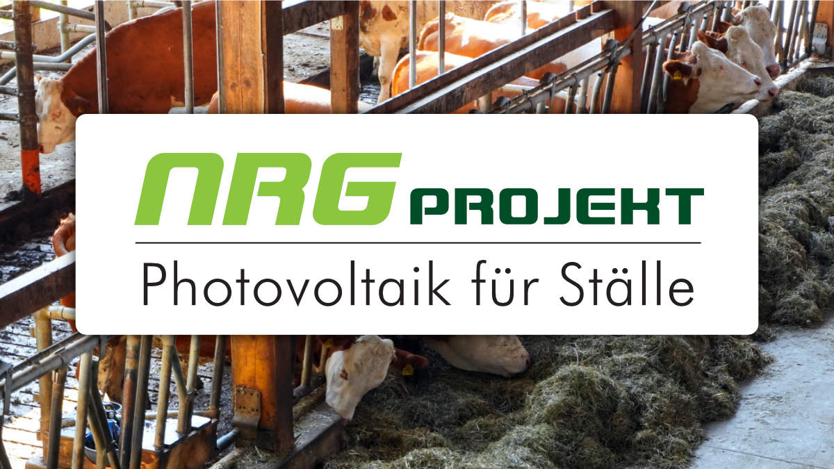 NRG Projekt photovoltaik solaranlage stall stalldach berlin brandenburg FEATURED