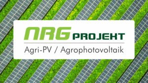 NRG Projekt photovoltaik solaranlagen agri pv agrophotovoltaik berlin brandenburg FEATURED