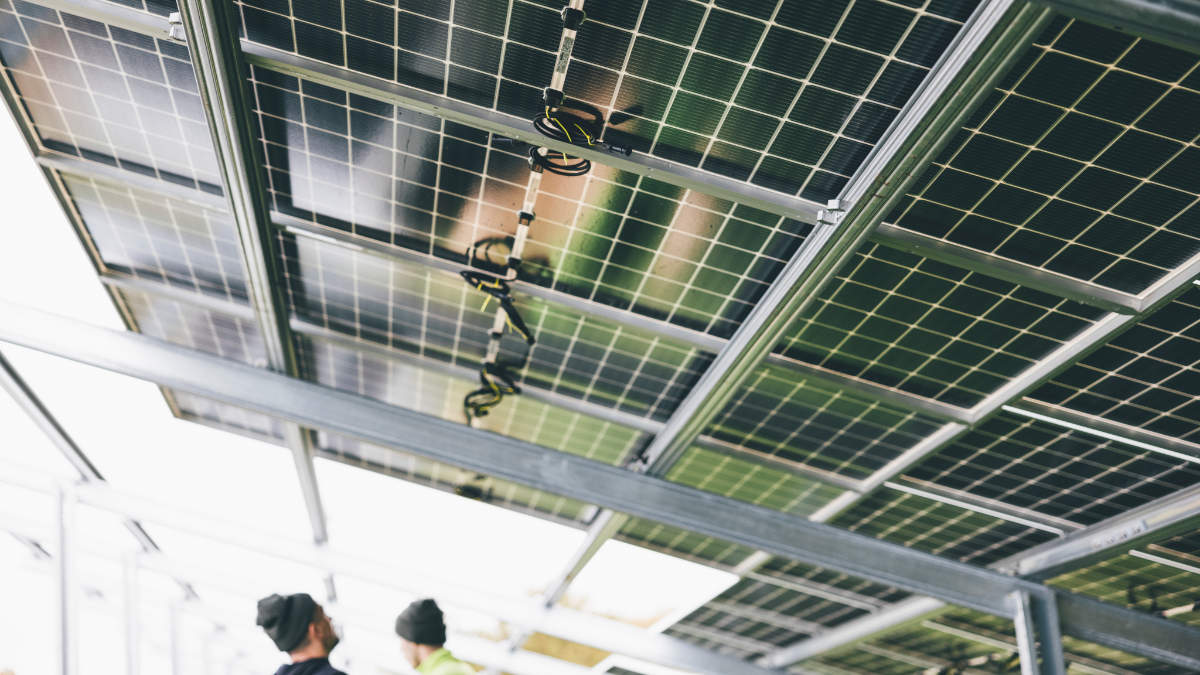 NRG Projekt photovoltaik solaranlagen reinigung berlin brandenburg modulreinigung know how